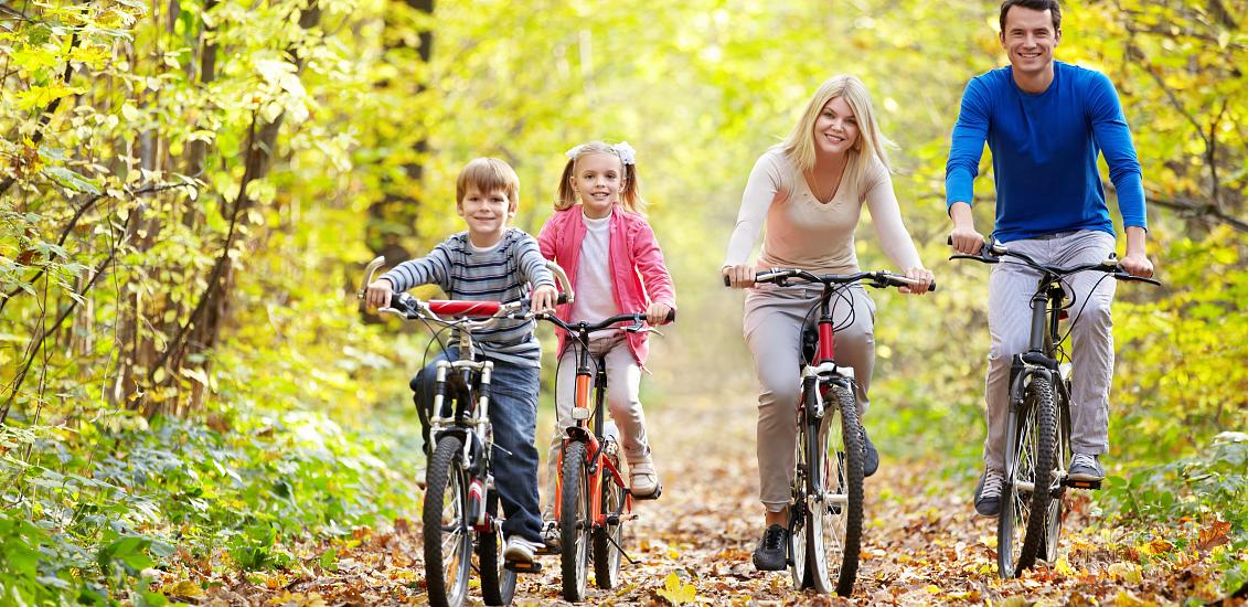 Des activités pour toute l'année