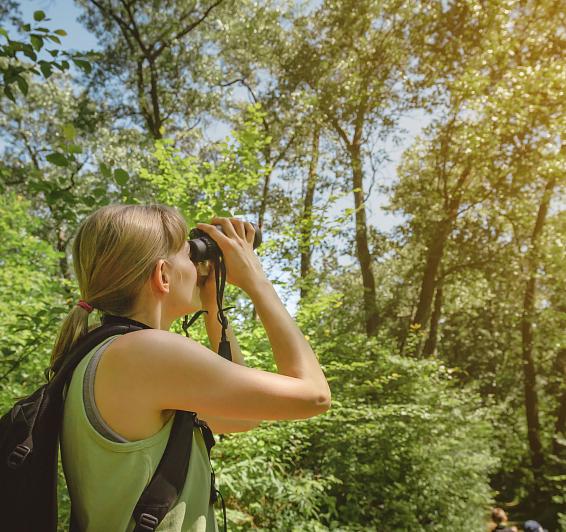 Observación de fauna en Solsona